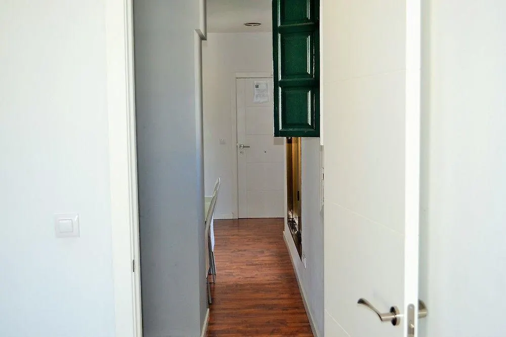 Terrazas De La Catedral Apartment Seville